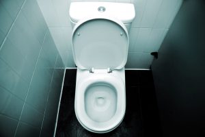 broyeur toilet